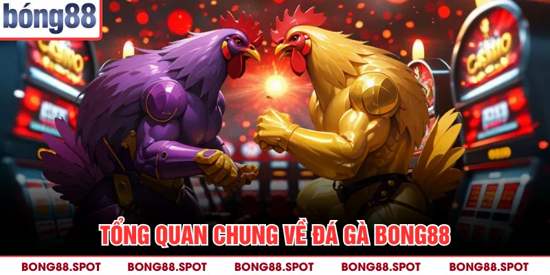 Tổng quan chung về đá gà bong88